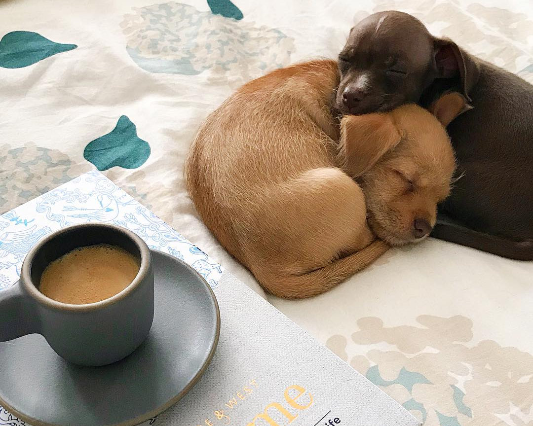Beyond the Book: Aimee & Christiana Give a Behind-the-Scenes Look at Creating Our Book, Hygge & West Home