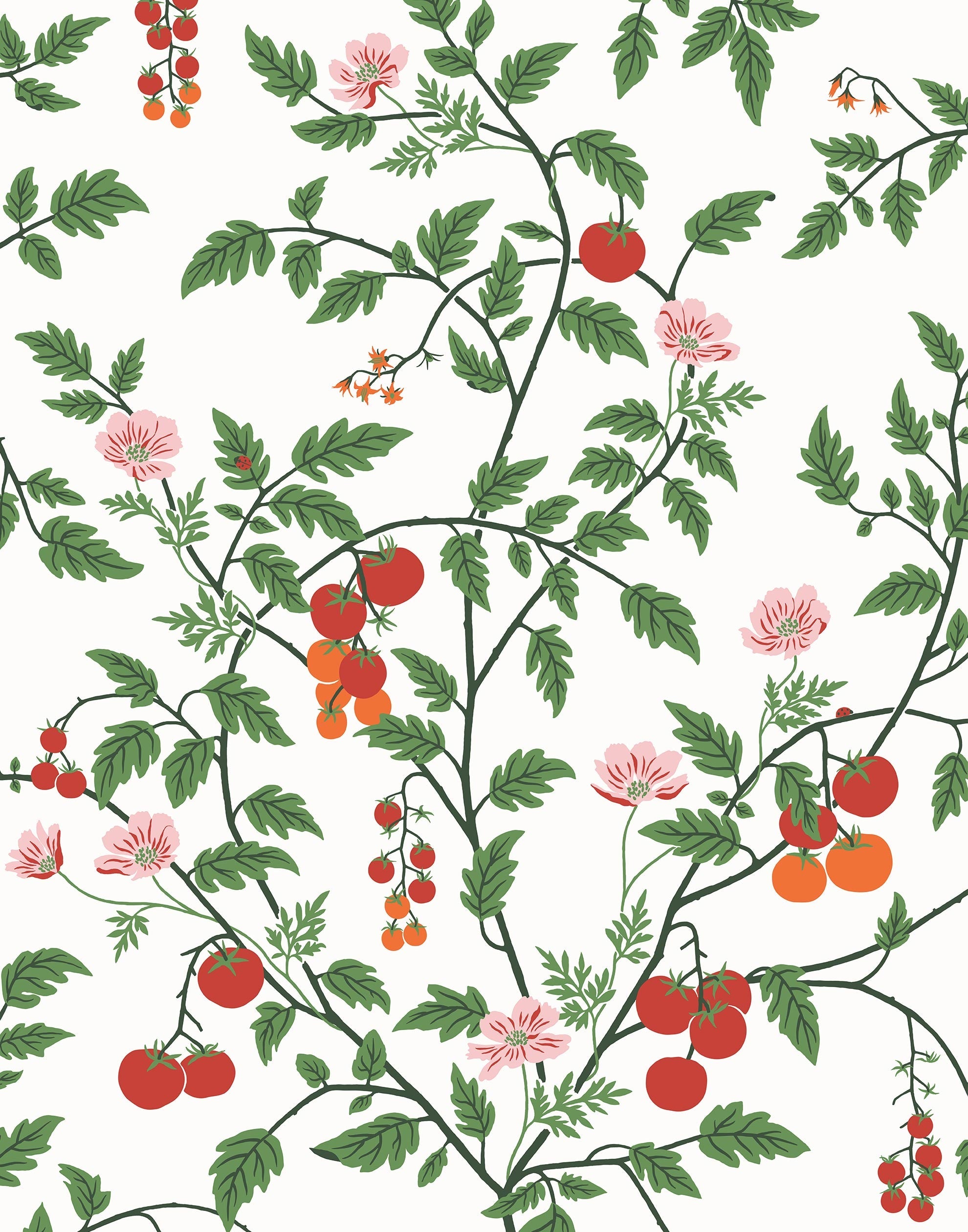 Our Heirloom wallpaper celebrates the annual arrival of tomato season. Highly durable, fade resistant, and made in the USA. This wallpaper features red and orange tomatoes, pink flowers and green vines on a white background and was created in collaboration with The Aesthetics of Joy.