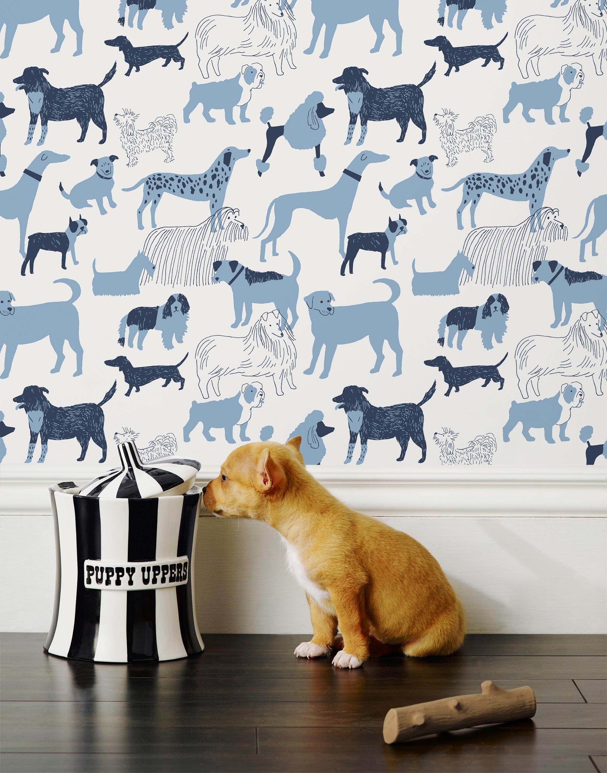 Find your favorite furry friend in our Dog Park pattern, designed in collaboration with Julia Rothman. This wallpaper features blue and navy dogs on a white background.