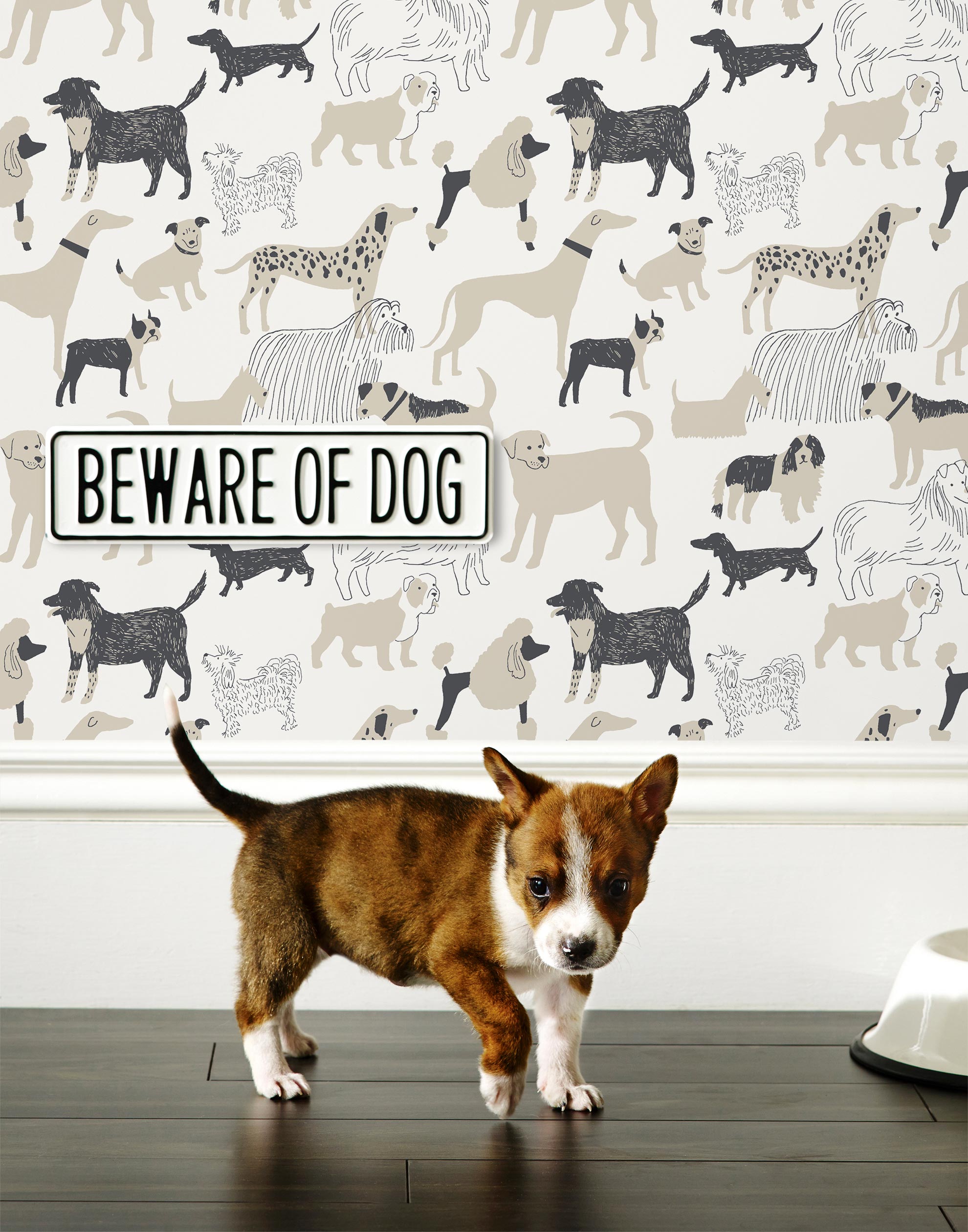 Find your favorite furry friend in our Dog Park pattern, designed in collaboration with Julia Rothman. This wallpaper features gray and taupe dogs on a white background.