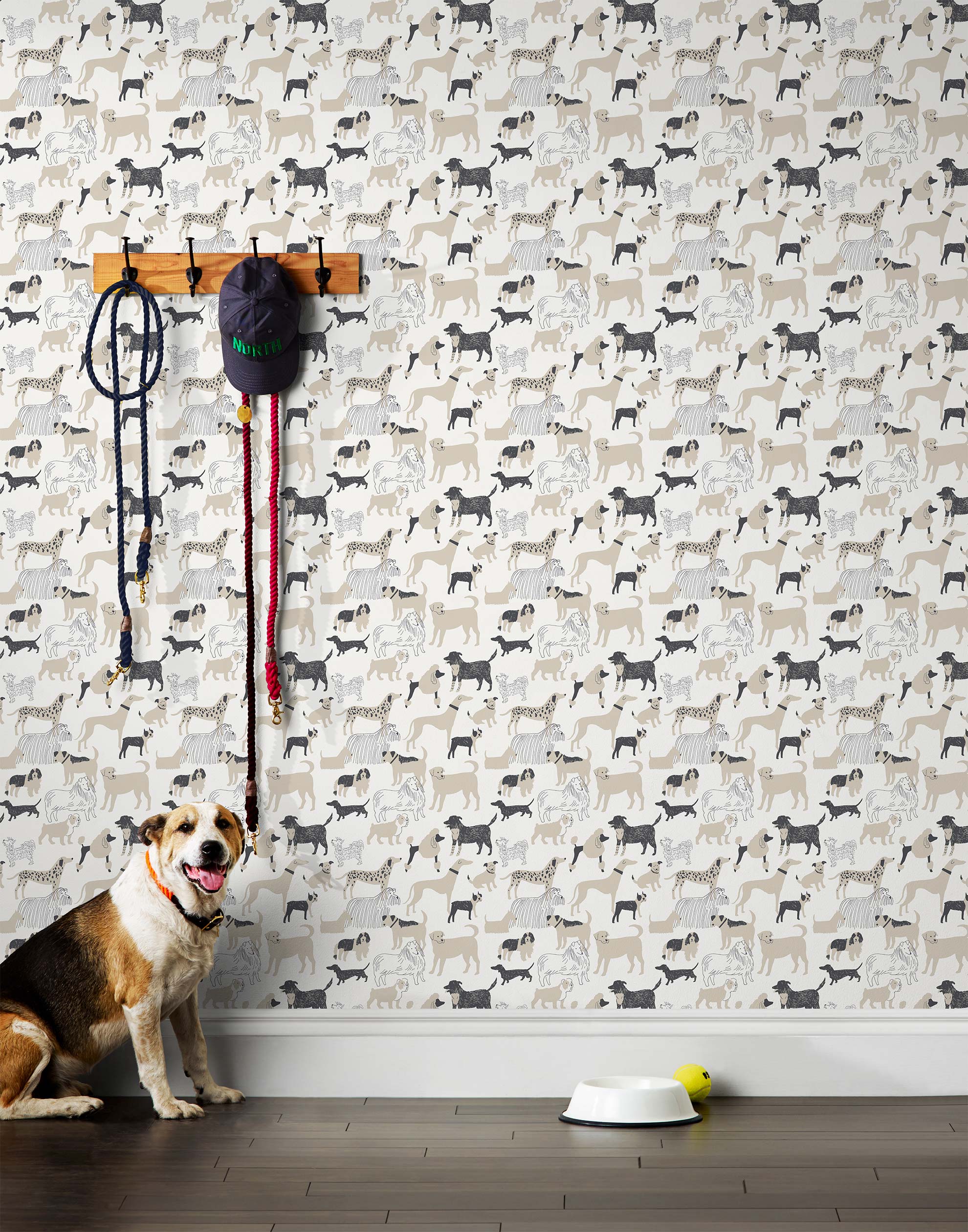 Find your favorite furry friend in our Dog Park pattern, designed in collaboration with Julia Rothman. This wallpaper features gray and taupe dogs on a white background.