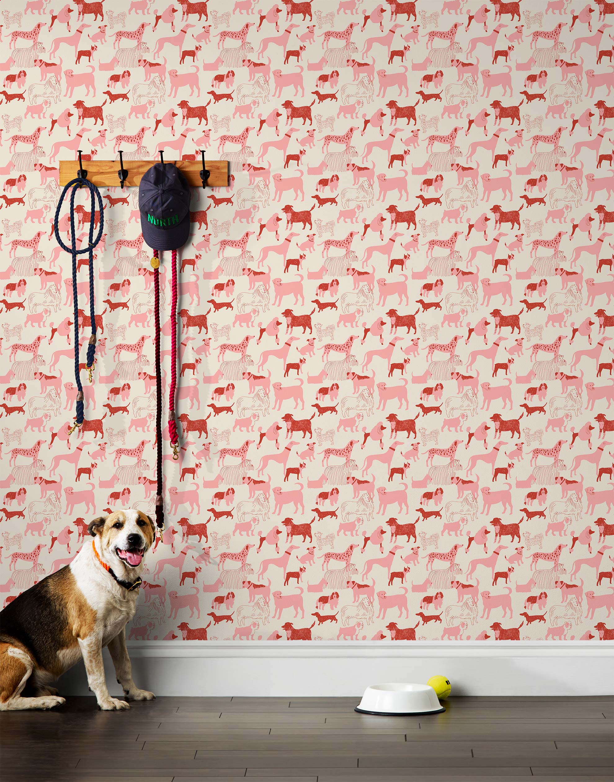 Find your favorite furry friend in our Dog Park pattern, designed in collaboration with Julia Rothman. This wallpaper features red and pink dogs on an off white background.