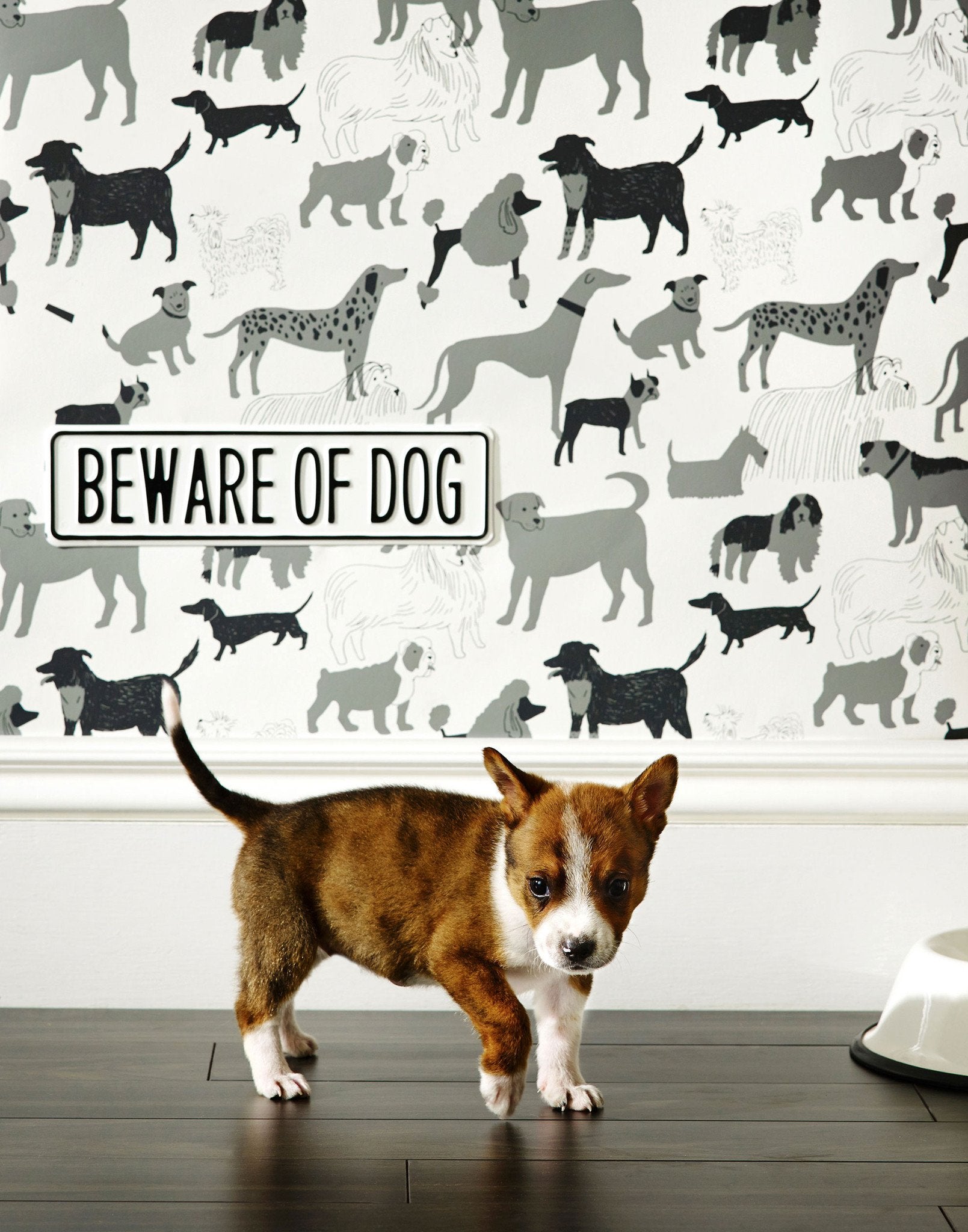 Dog Park (Gray) wallpaper featuring illustrated dogs in shades of gray on white designed by Julia Rothman