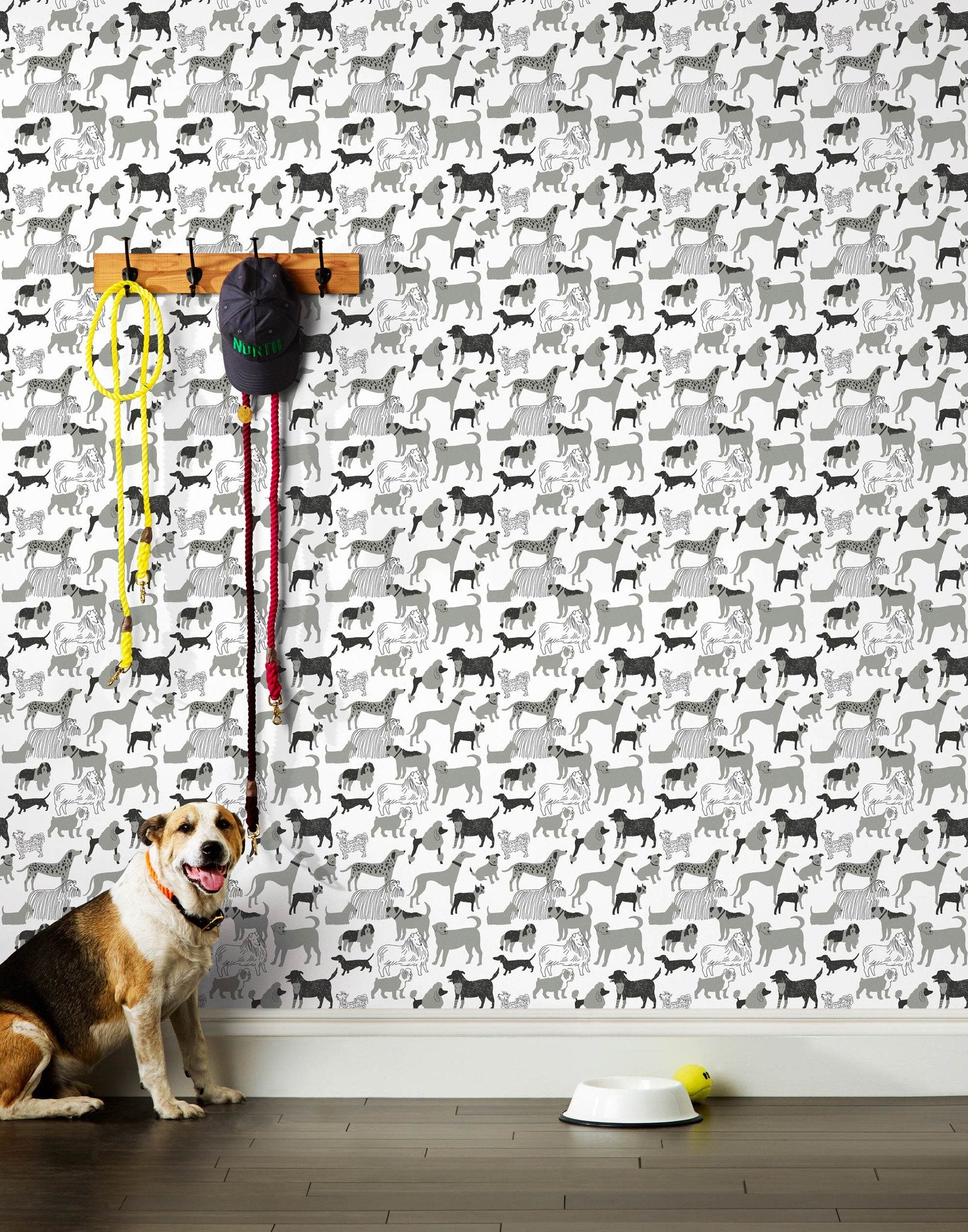 Dog Park (Gray) wallpaper featuring illustrated dogs in shades of gray on white designed by Julia Rothman